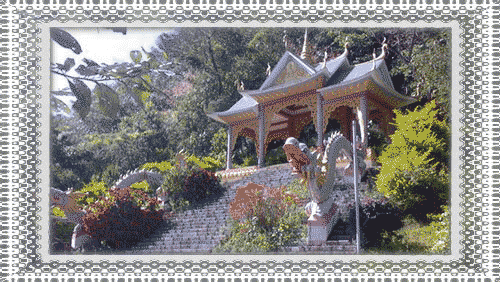 神圣龙山