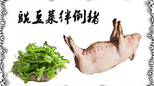 豌豆菜绊倒猪肉