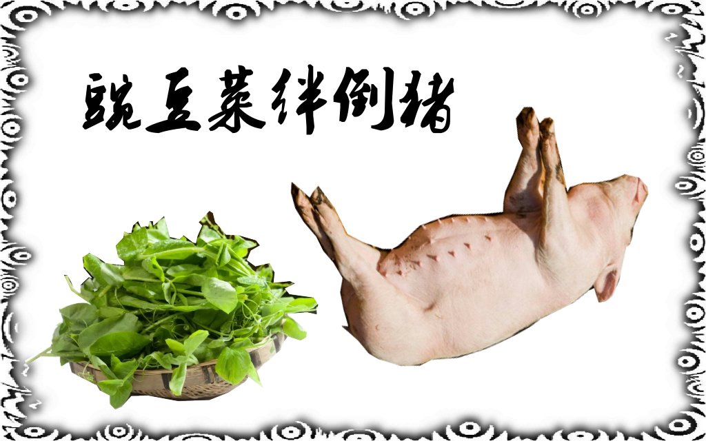 豌豆菜绊倒猪肉