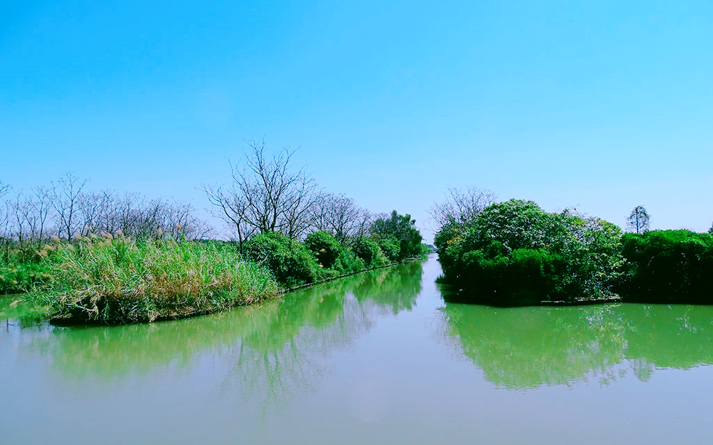 游南沙湿地公园