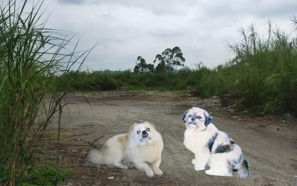 丁丁传——合伙