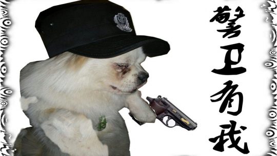 丁丁传——警卫有我