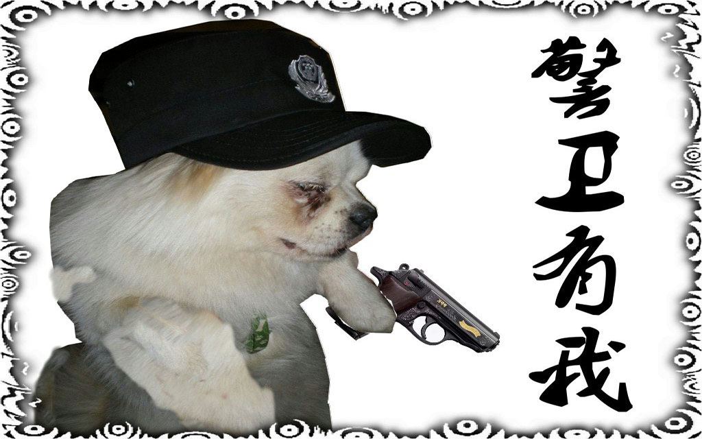 丁丁传——警卫有我