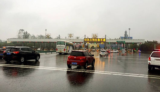 冒雨到金寨
