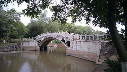 在沅江看了一眼五湖湿地公园