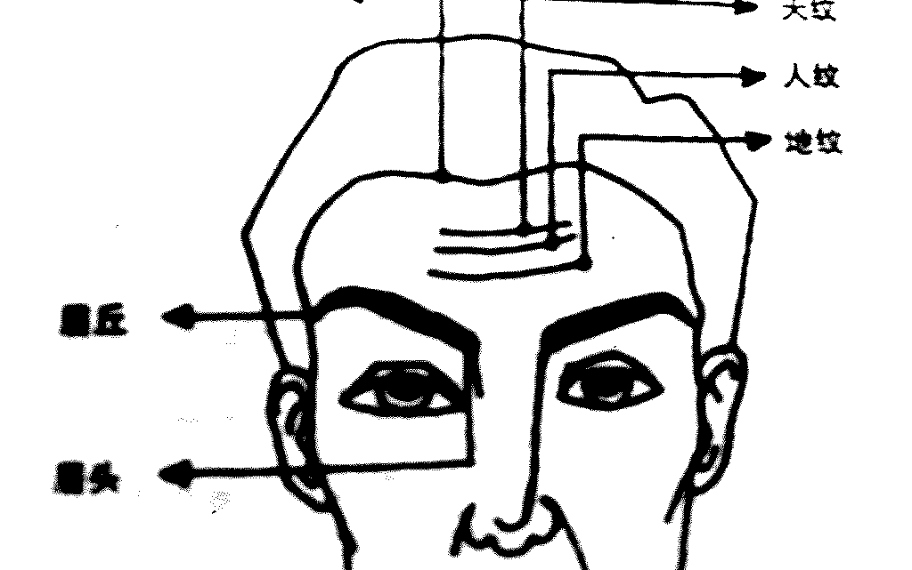 面相——额部