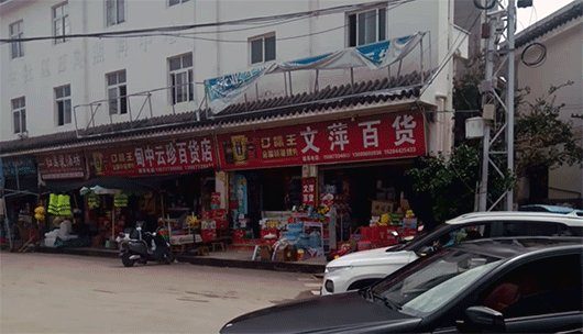 拐进甸中