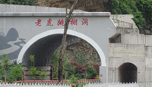 看着老虎跳走进福贡