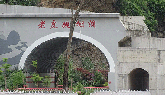 看着老虎跳走进福贡