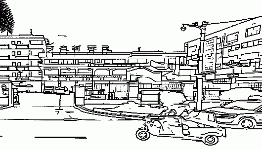 又到孟连