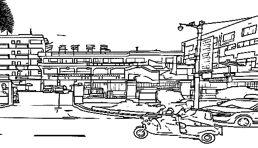 又到孟连